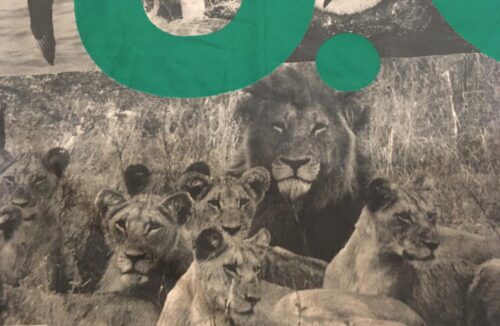S.O.S. - Threatened species. Posterflagga Samlarobjekt från 80-talet