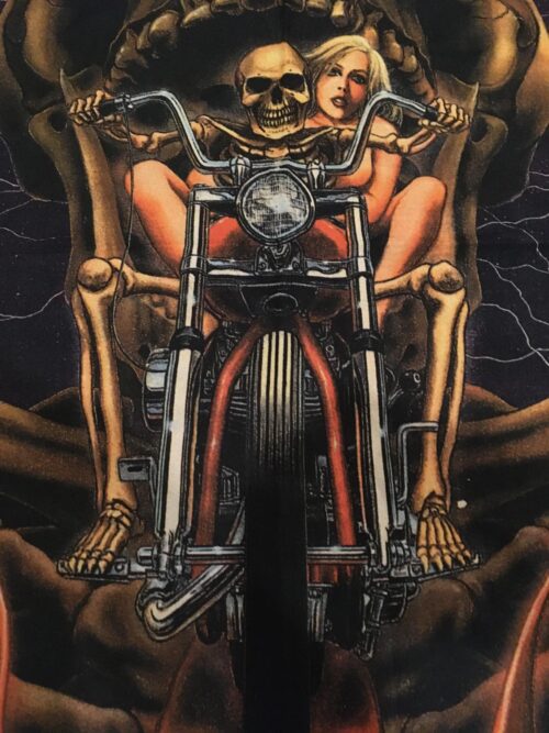 Harley - Easyrider Ape Hanger Chopper Posterflagga från 1989 SAMLAROBJEKT - Bild 3