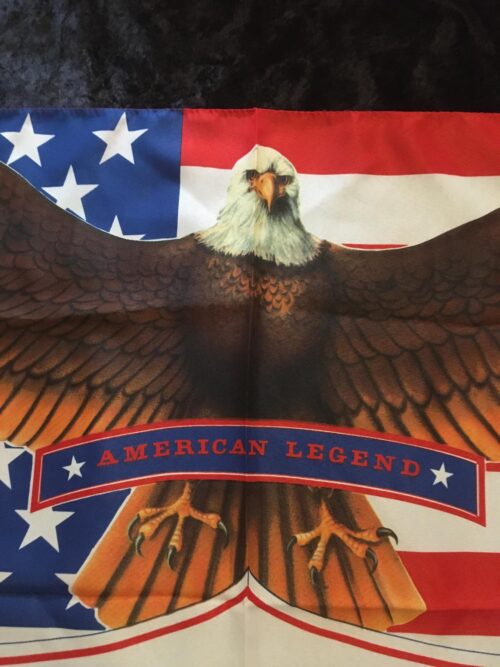 USA - AMERICAN LEGEND - 1927 Charles Lindbergh Poster flagga Samlarobj. 80-talet - Bild 3