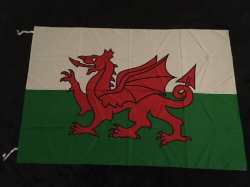 Nationsflagga - WALES  Poster flagga Bonnie Tyler Bullet for My. Tom Jones