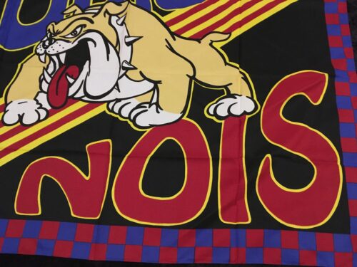 Fotbolls flagga FC Barcelona Boixos Nois SAMLAROBJEKT nyskick ej använd - Bild 3